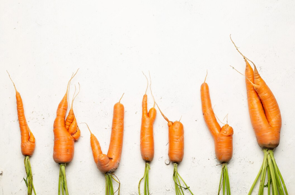 Как вырастить морковь сладкой и ровной: советы дачникам