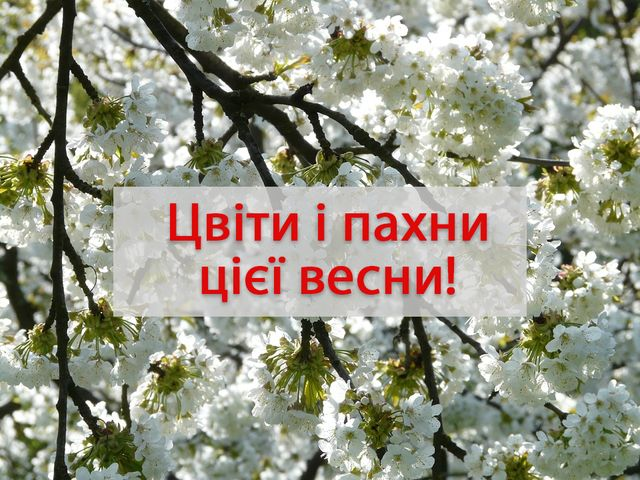 С первым днем весны! Теплые поздравления и открытки