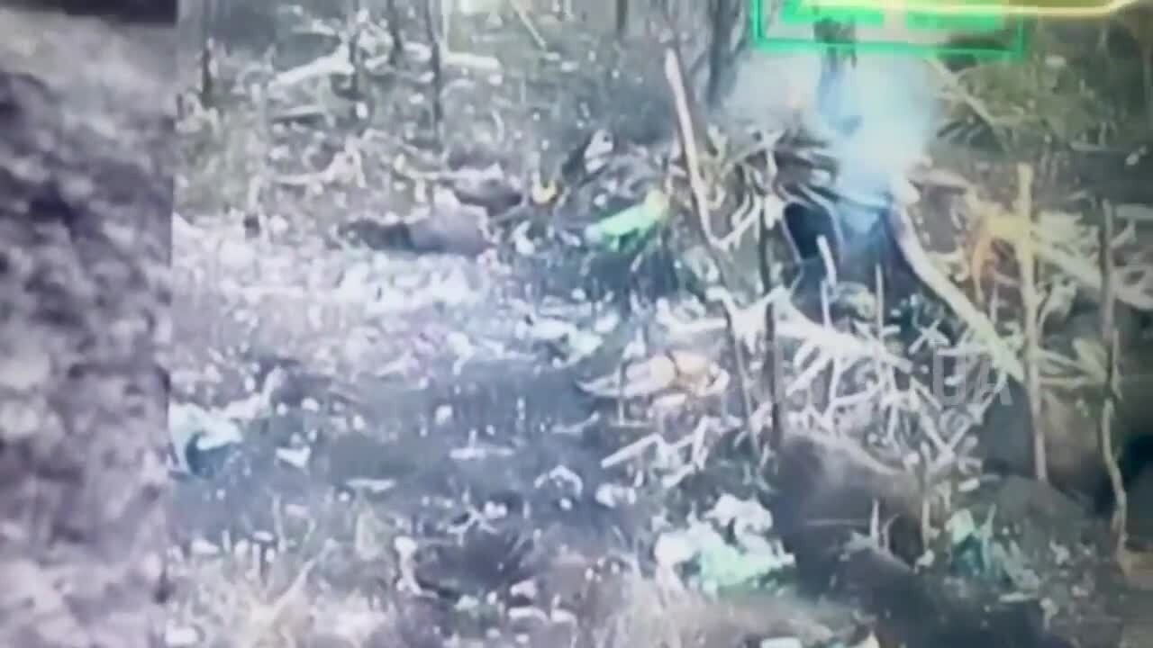 Прямо в точку: украинские воины с помощью FPV-дрона уничтожили блиндаж оккупантов на Лиманском направлении. Видео