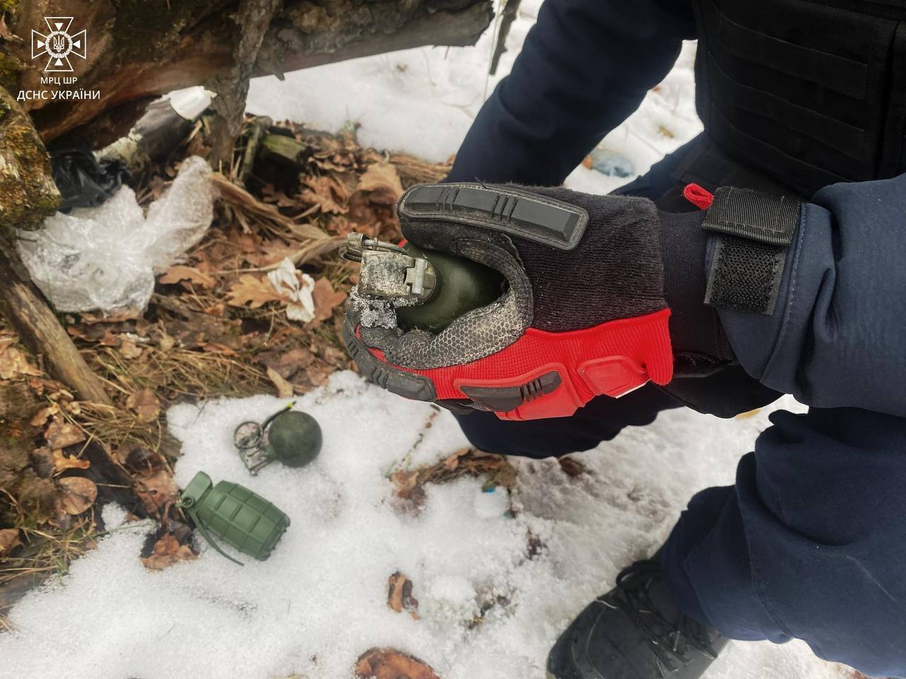На Київщині чоловік посеред вулиці знайшов три бойові гранати. Фото