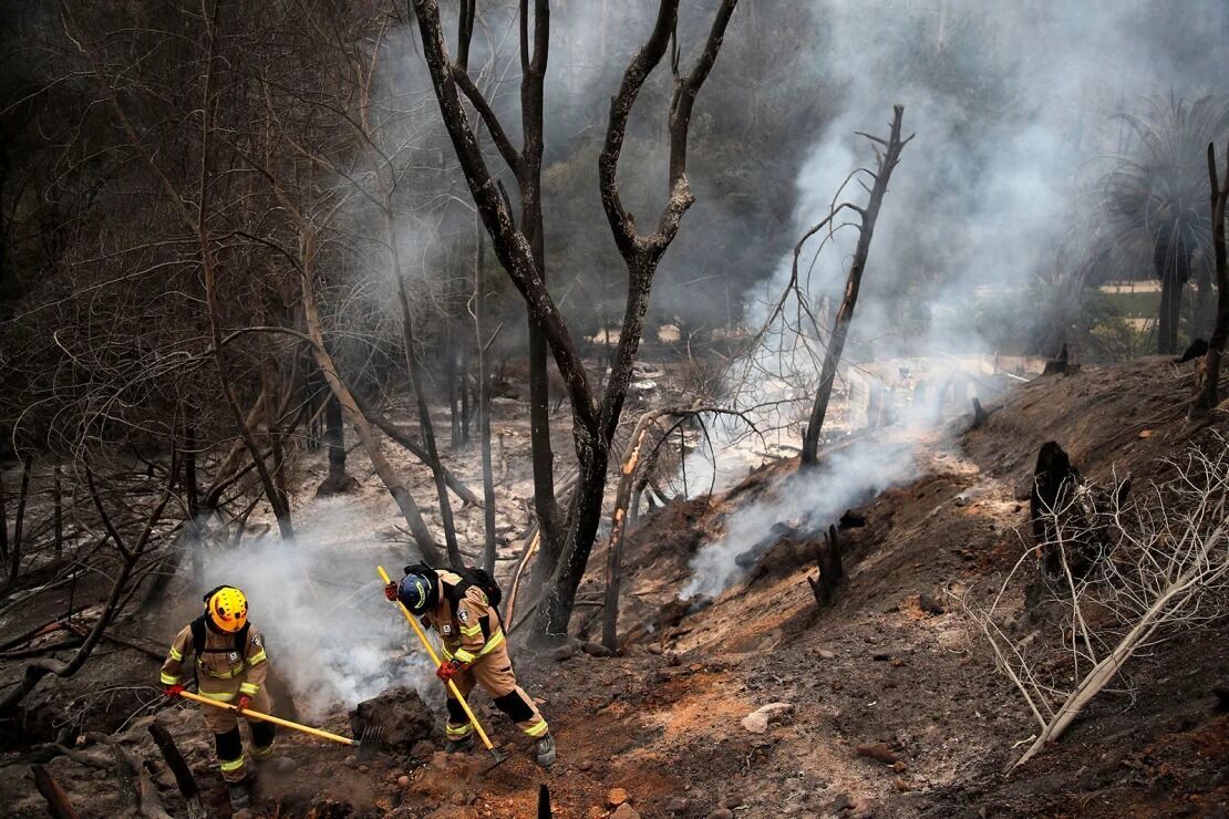 В Чили не утихают масштабные лесные пожары, погибло более 100 человек: борьба с огнем продолжается. Видео