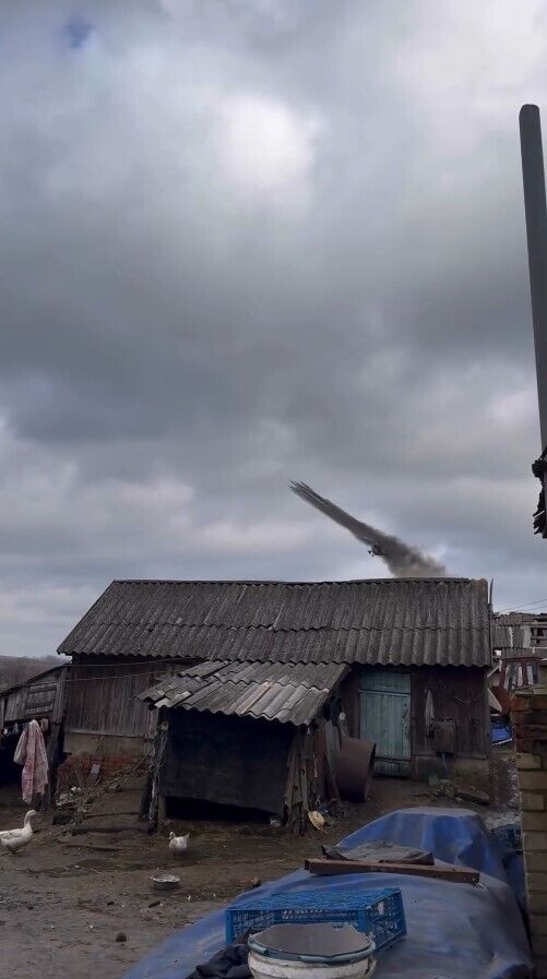 На подвір'ї бігають тварини, а поруч б'є авіація: мережу розбурхало відео із села на Харківщині