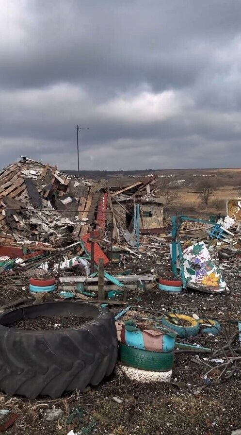 По двору бегают животные, а рядом бьет авиация: сеть взбудоражило видео из села на Харьковщине