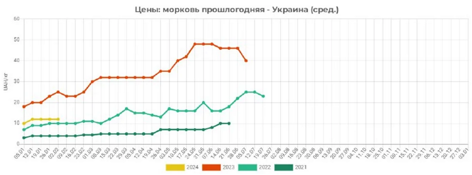 В Украине подешевела морковь