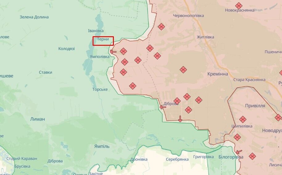 У Нацгвардії показали, як ударні дрони нищать окупантів поблизу Тернів. Відео
