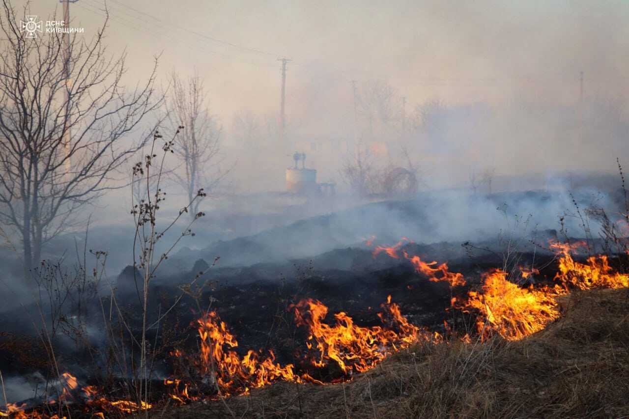 На Київщині сталась масштабна пожежа: відомо подробиці. Фото і відео