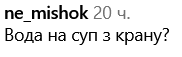 Крім того, люди цікавляться, де авторка відео взяла воду на суп