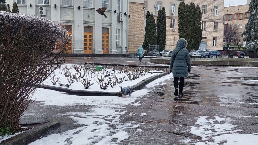 Снігова погода у Черкаській області