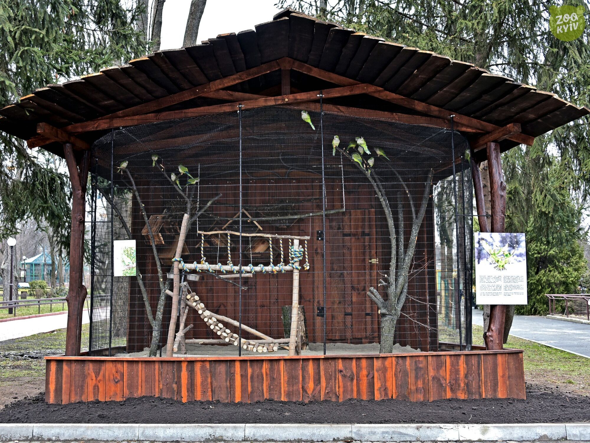 Для зелених бешкетників створено усі умови: у зоопарку Києва до нової оселі переселили папуг-монахів. Фото і відео
