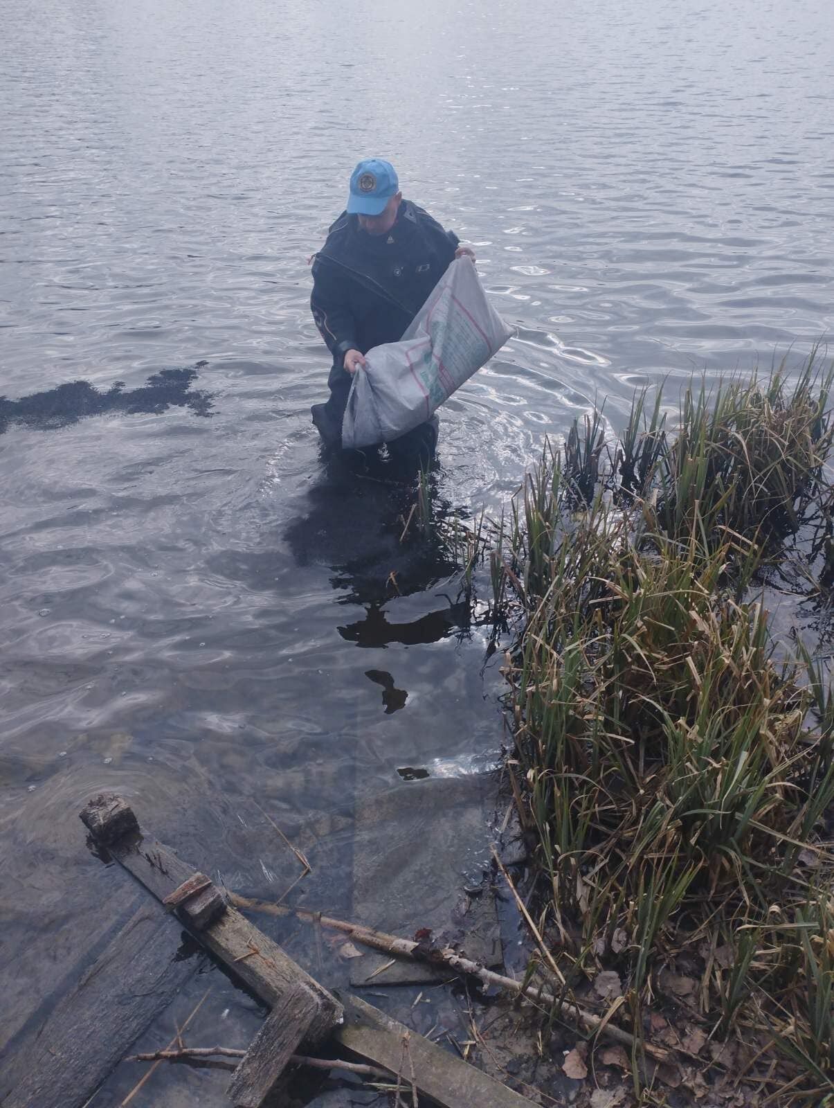 Другий випадок з початку року: у Києві невідомі злили нафтопродукти в озеро на Оболоні. Фото і подробиці
