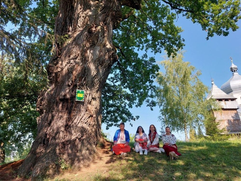 Конкурс "Европейское дерево года" назвал финалистов этого года: на каком месте Украина