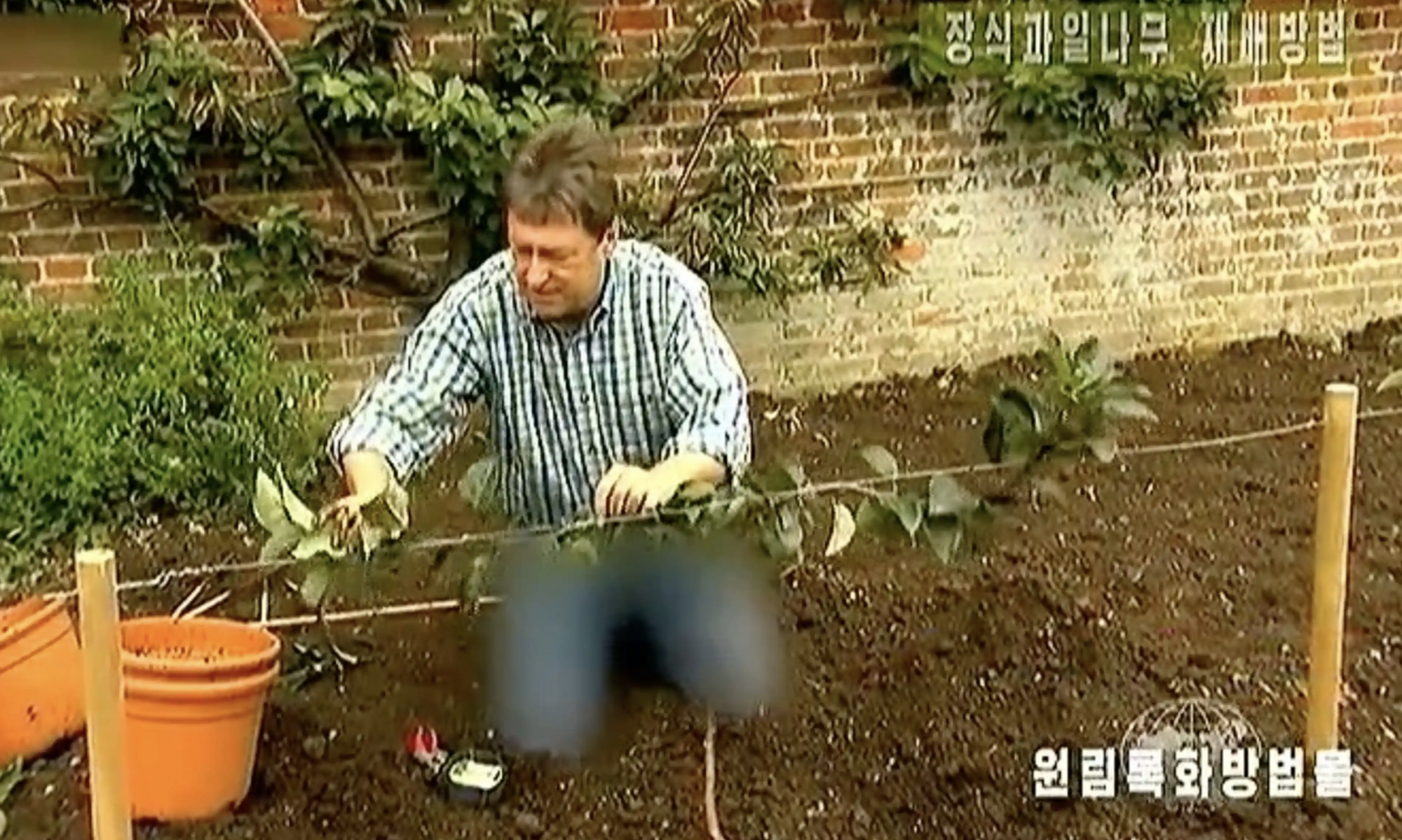 The BBC presenter's jeans were censored on North Korean television: what's wrong with them? Photo and video