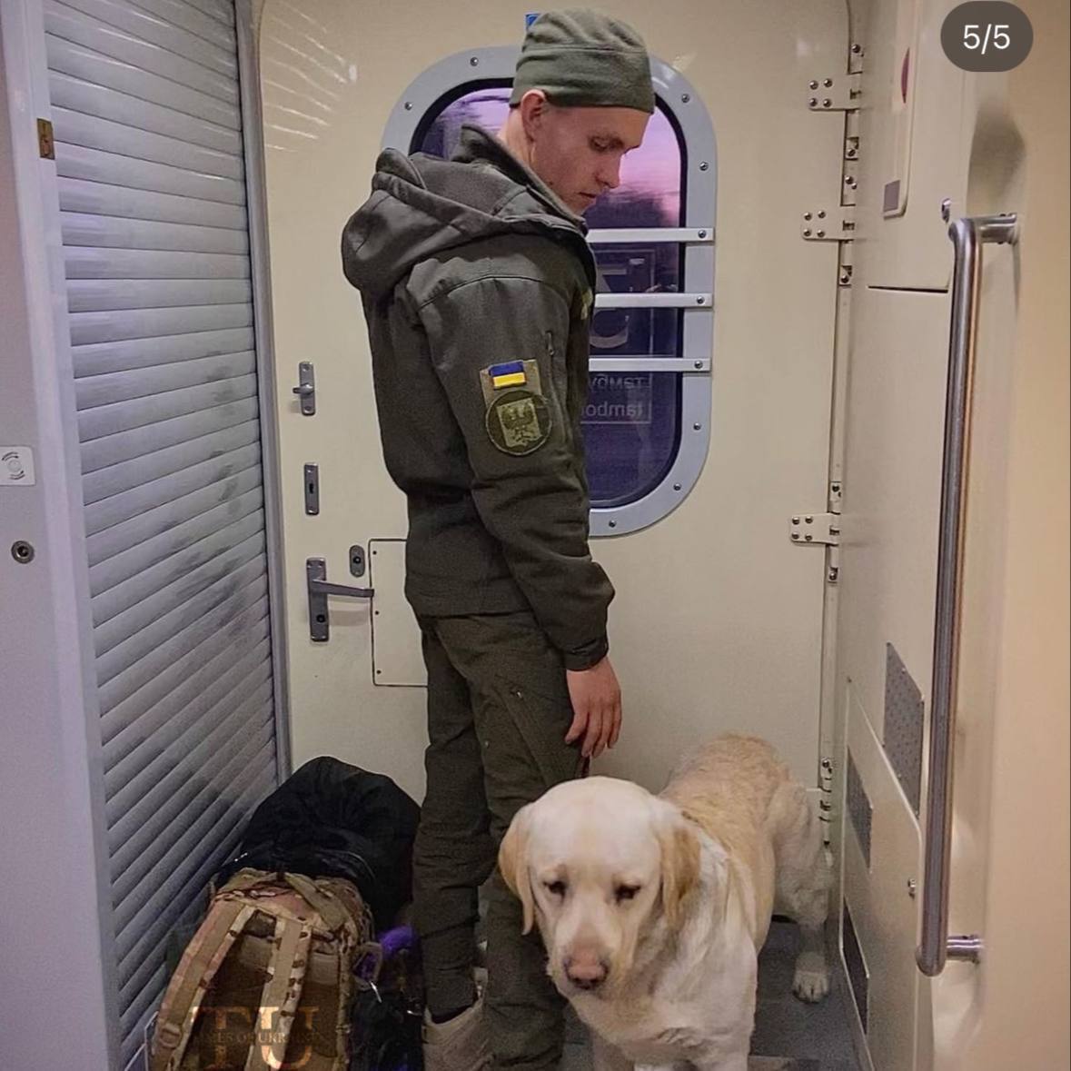 Українському військовому довелося три години стояти в тамбурі потяга через  службового собаку: в "УЗ" відреагували на скандал