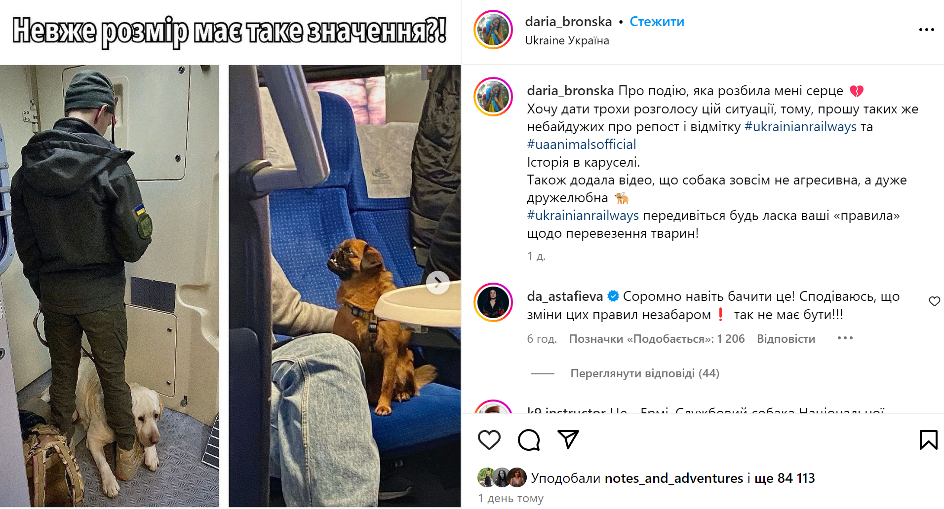 Українському військовому довелося три години стояти в тамбурі потяга через  службового собаку: в "УЗ" відреагували на скандал