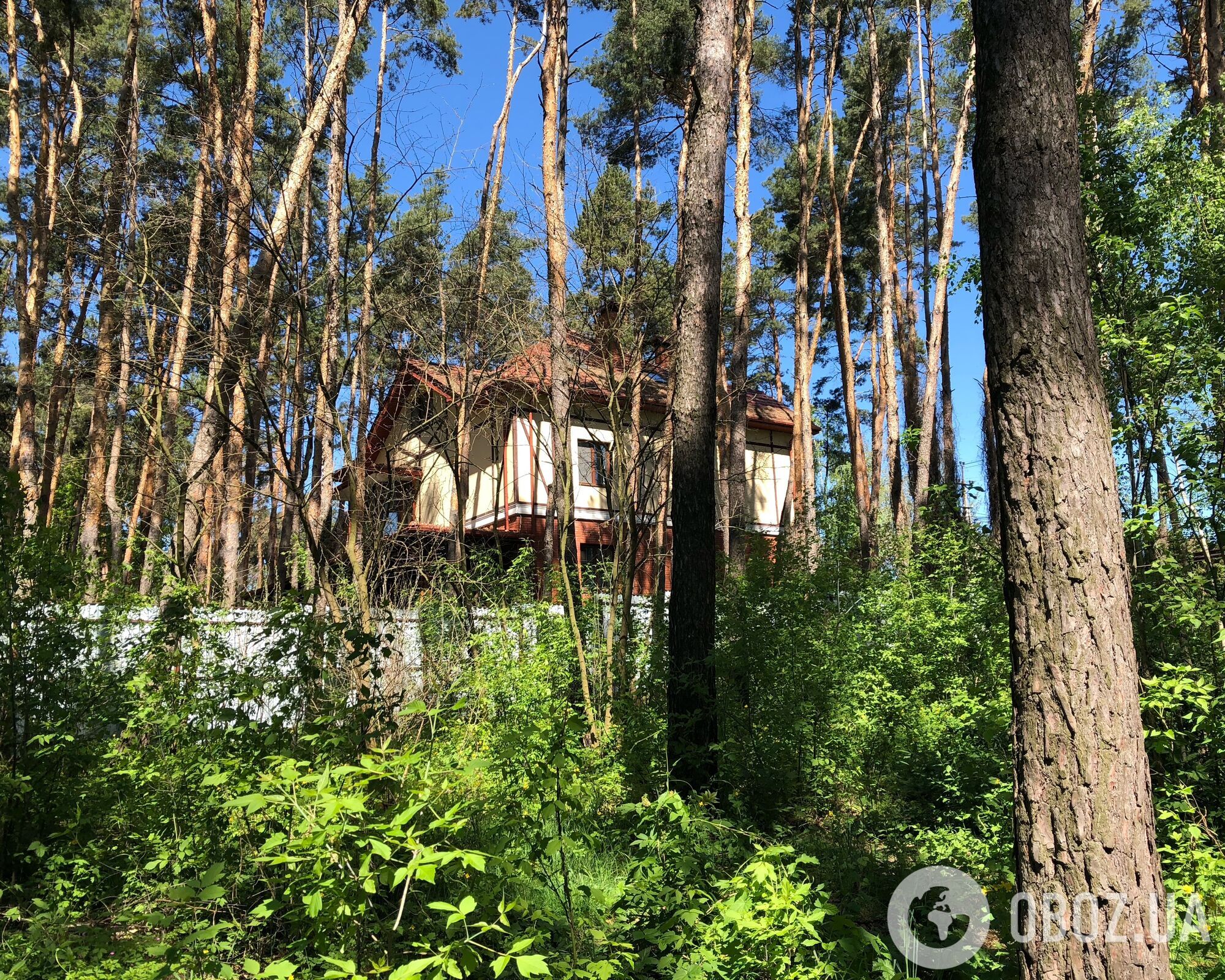 "Я не раздевалась месяц. Спала с собаками в холодном подвале". История Надежды, пережившей оккупацию Киевщины