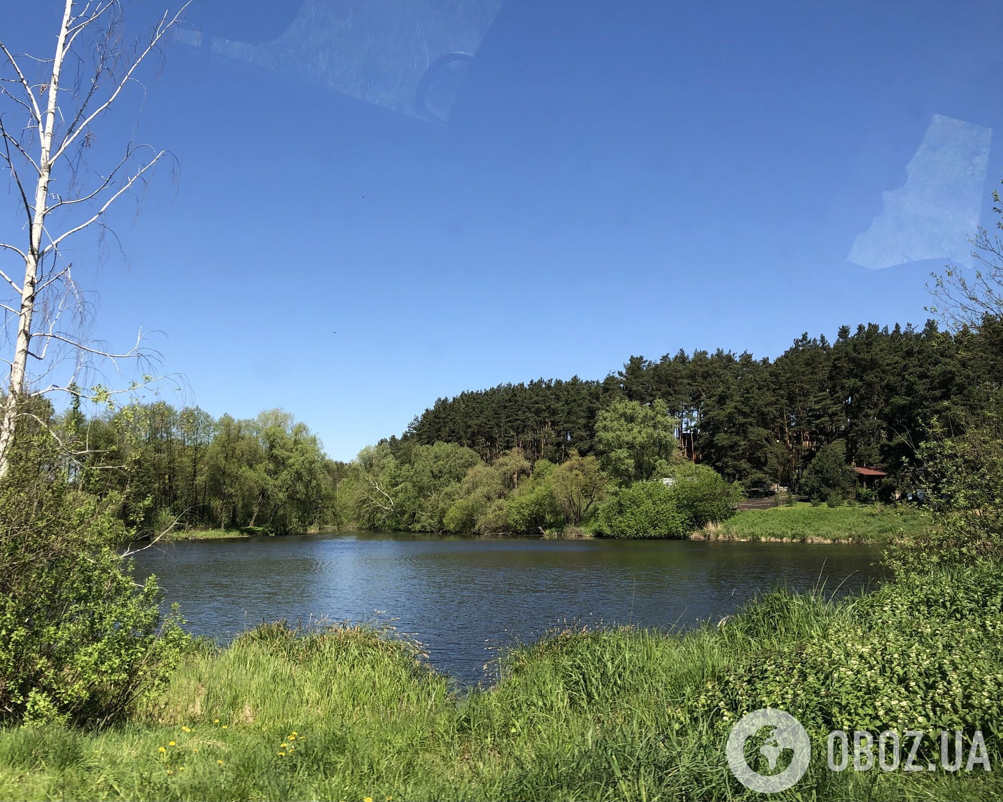 "Я не раздевалась месяц. Спала с собаками в холодном подвале". История Надежды, пережившей оккупацию Киевщины