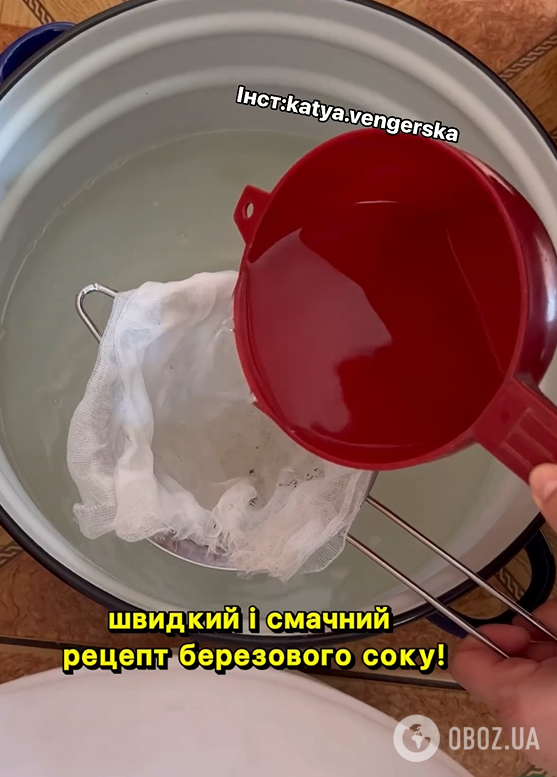 Як смачно закрити березовий сік на зиму: знадобиться всього 3 інгредієнти