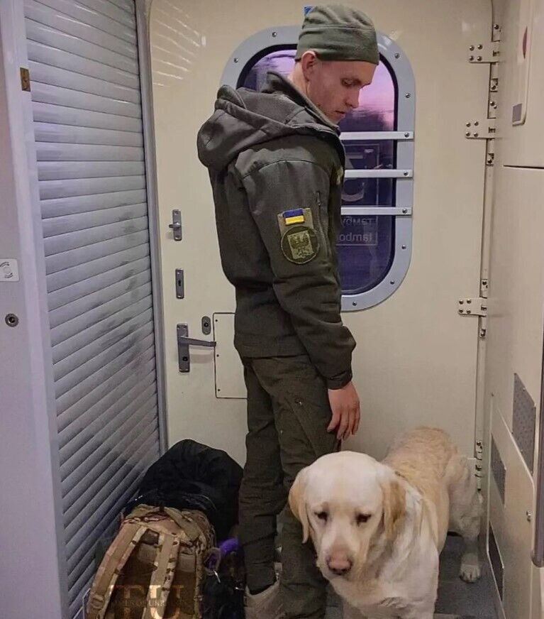 "Укрзалізниця" после скандала с военным и служебной собакой приняла важное решение