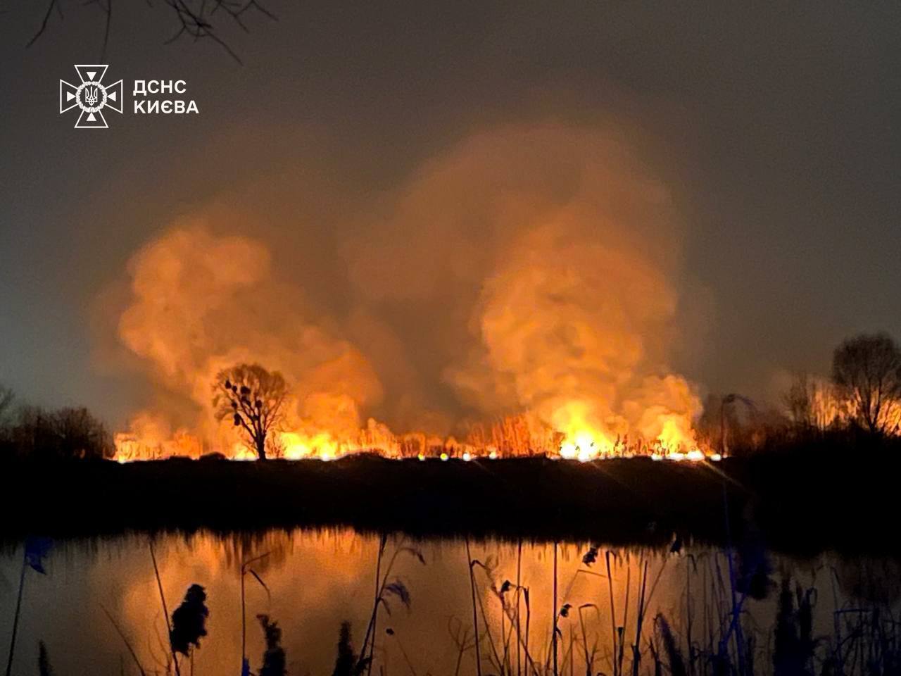 Под Киевом горела сухая трава и камыши: спасатели ГСЧС и КАСС ликвидировали пожар. Видео