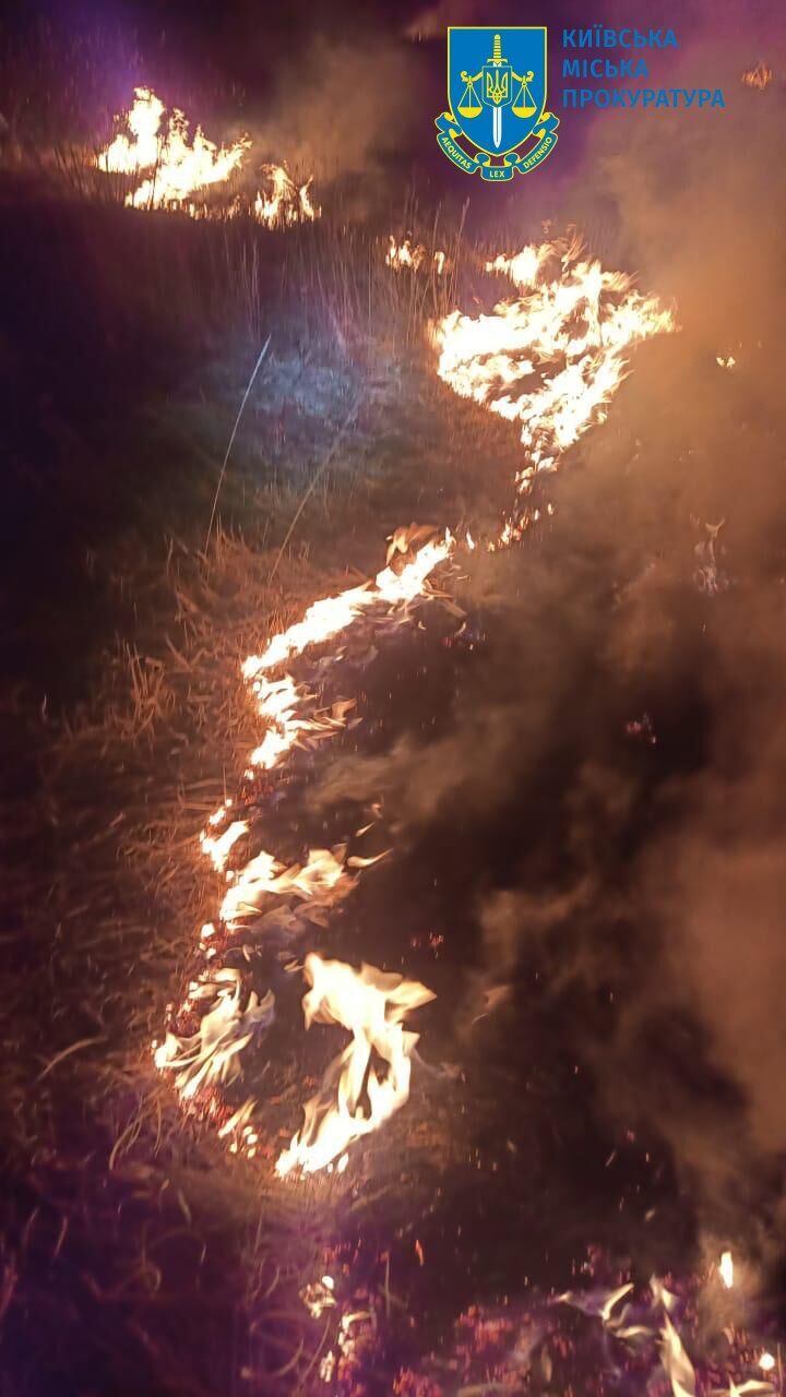 Винним загрожує до 12 років тюрми: поліція Києва розслідує пожежу на Осокорківських луках як підпал. Фото