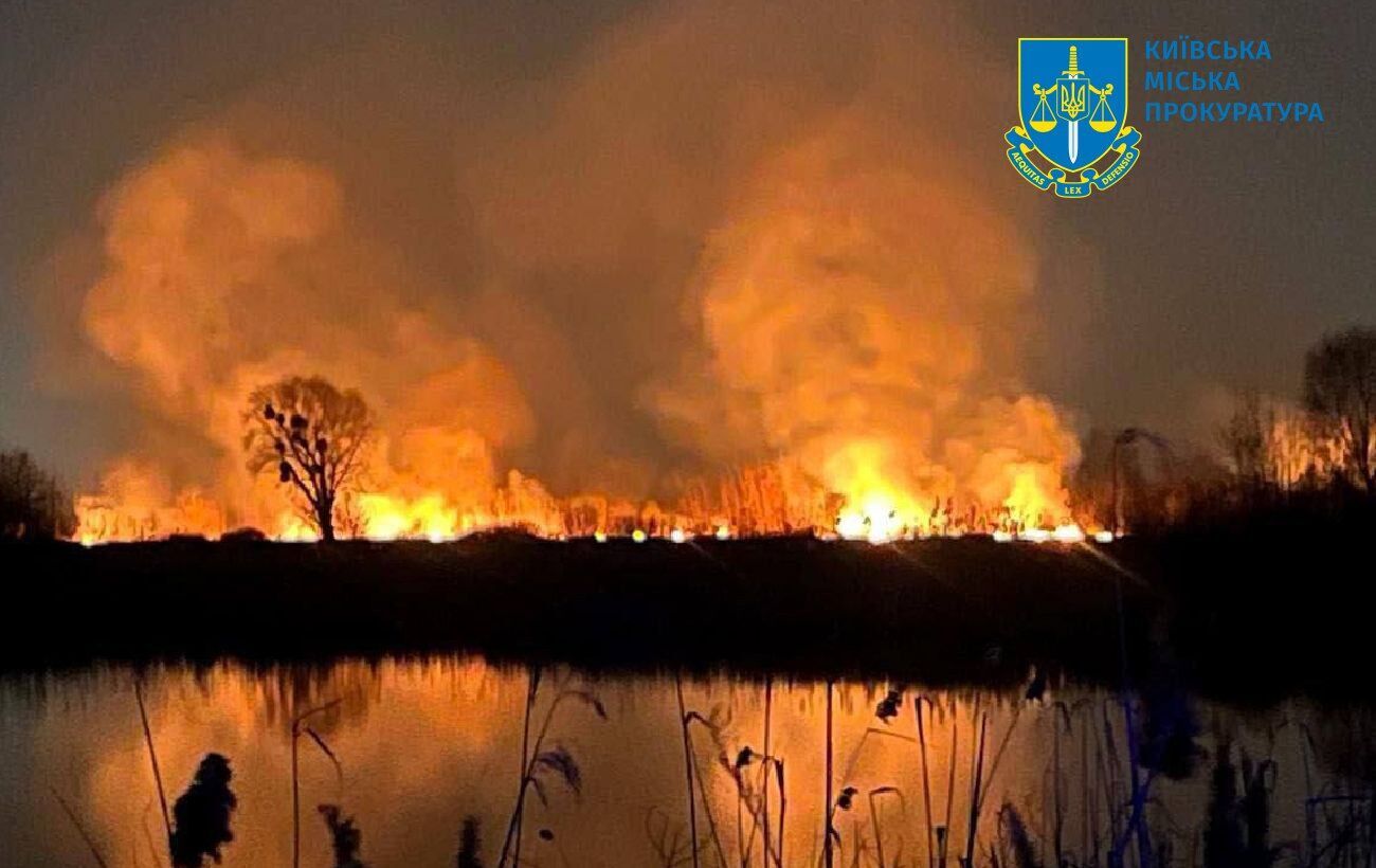 Виновным грозит до 12 лет тюрьмы: полиция Киева расследует пожар на Осокорковских лугах как поджог. Фото