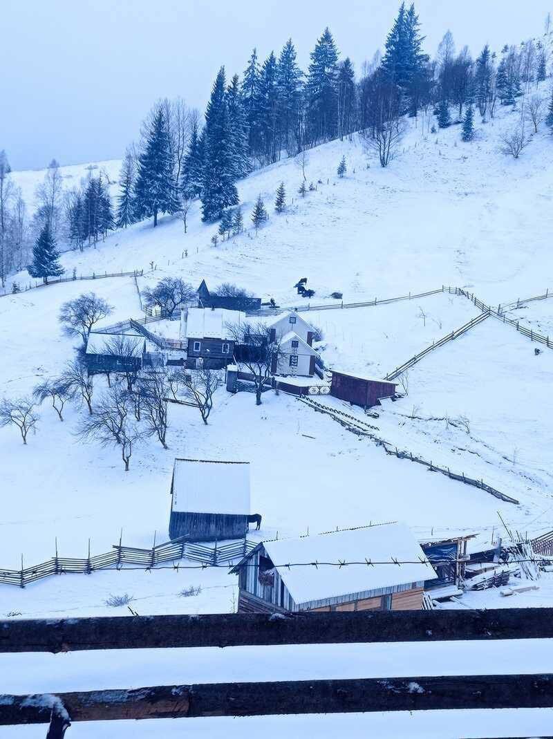 Зима вернулась: на Закарпатье и Буковине в марте выпал снег. Фото и видео