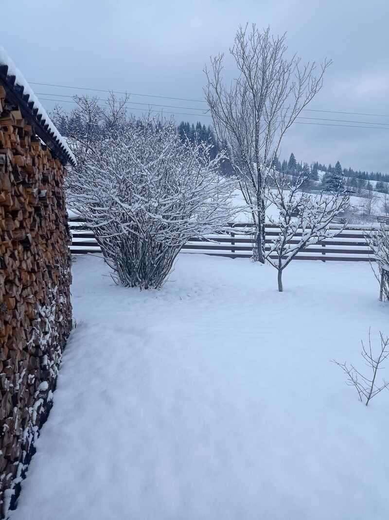 Зима повернулася: на Закарпатті і Буковині в березні випав сніг. Фото і відео