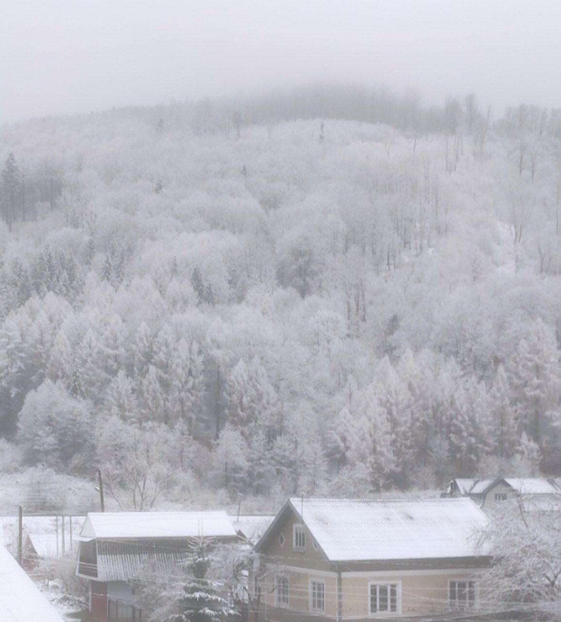 Зима повернулася: на Закарпатті і Буковині в березні випав сніг. Фото і відео