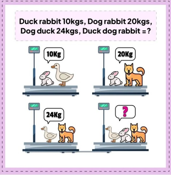 Скільки важать собака, качка та кролик: математична головоломка, яка змусить мозок закипіти