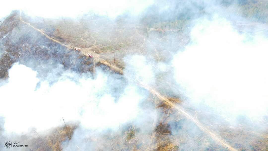На Закарпатті рятувальники загасили масштабну пожежу: горіло 6 га лісу. Фото і відео