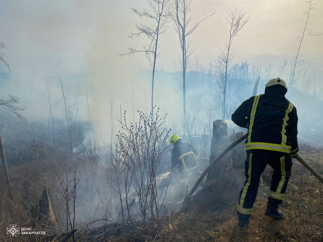 У Закарпатті рятувальники успішно приборкали велику пожежу, під час якої згоріло 6 гектарів лісу (ФОТО)