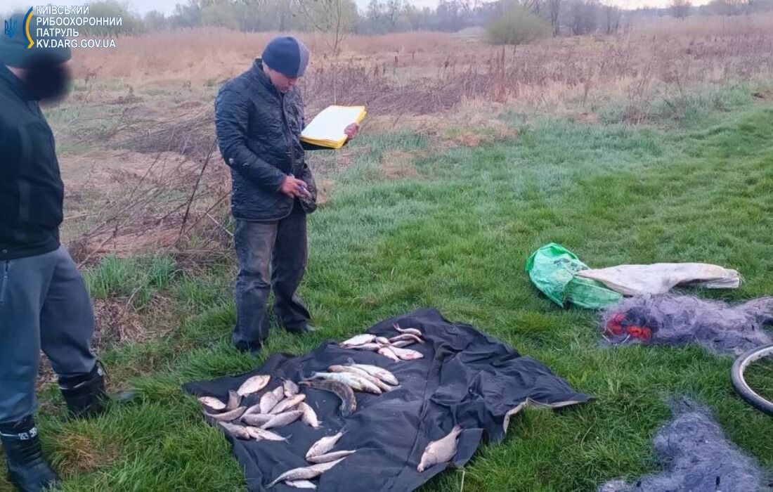 В Киевской области браконьеры "наловили" рыбы более чем на 330 тыс. грн. Фото