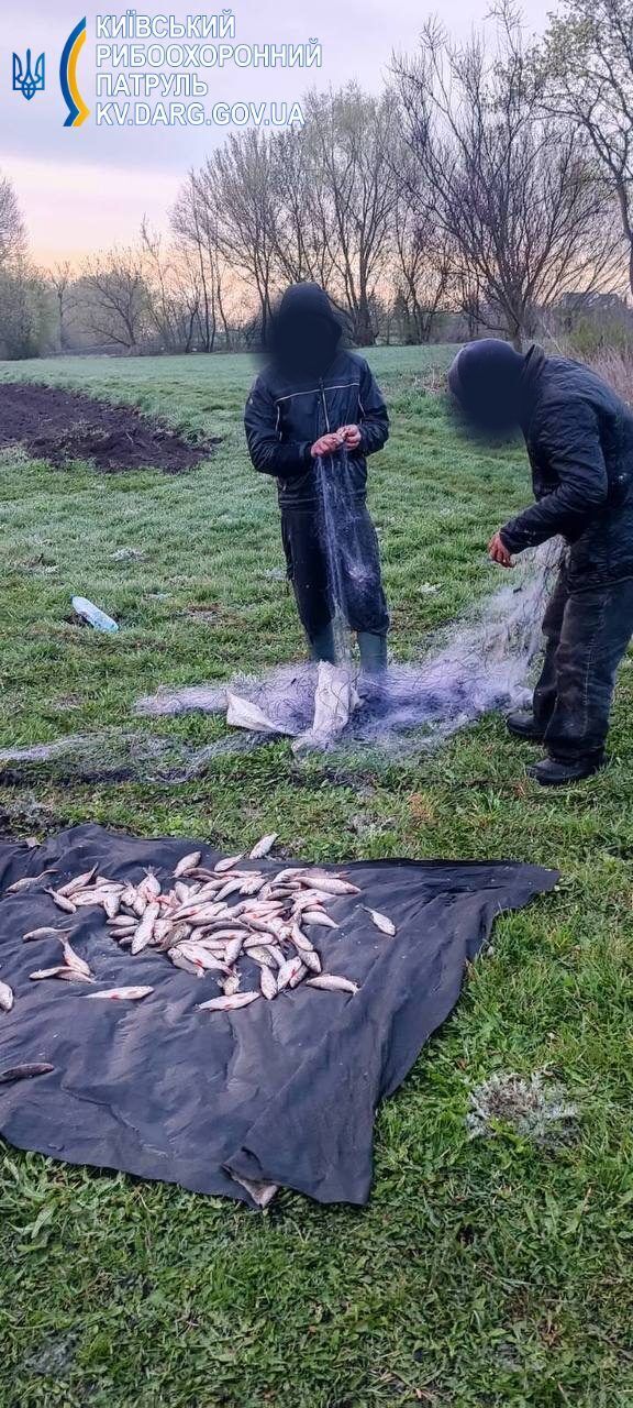На Київщині браконьєри "наловили" риби на понад 330 тис. грн. Фото