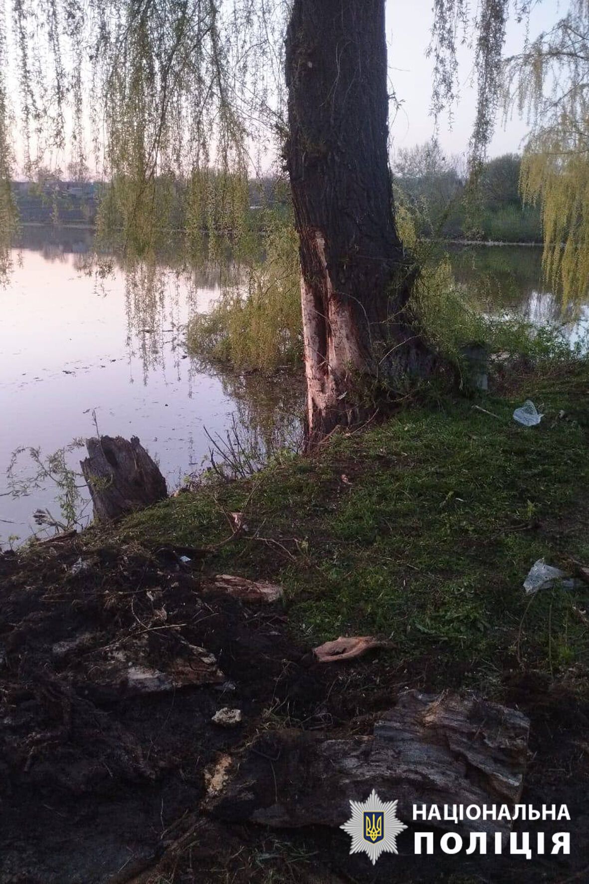 На Черкащині 26-річний водій не впорався з керуванням і злетів у водойму: він помер у лікарні. Фото