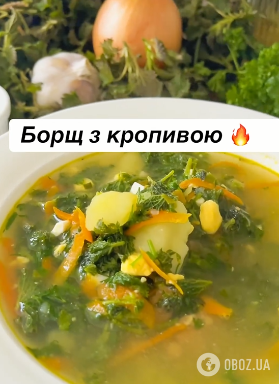 С чем, кроме щавеля, можно приготовить вкусный зеленый борщ: по-настоящему украинское блюдо