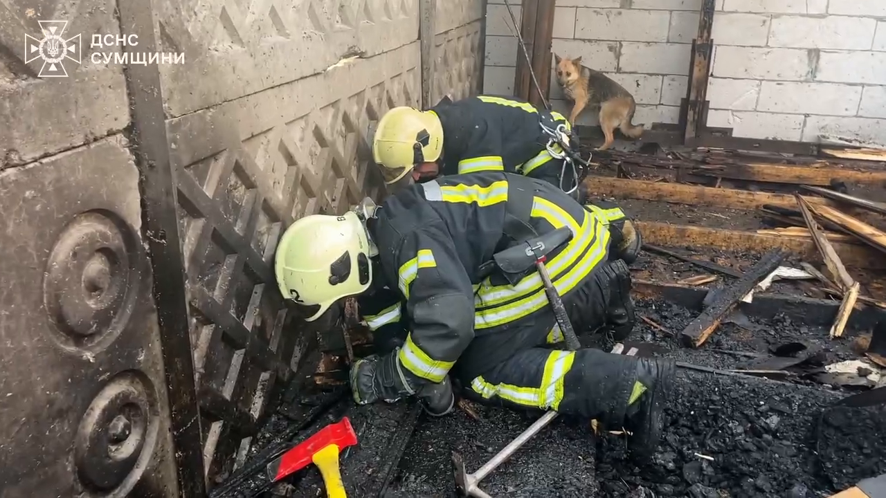 В Сумах спасатели во время пожара спасли пятерых щенков: видео тронуло сеть
