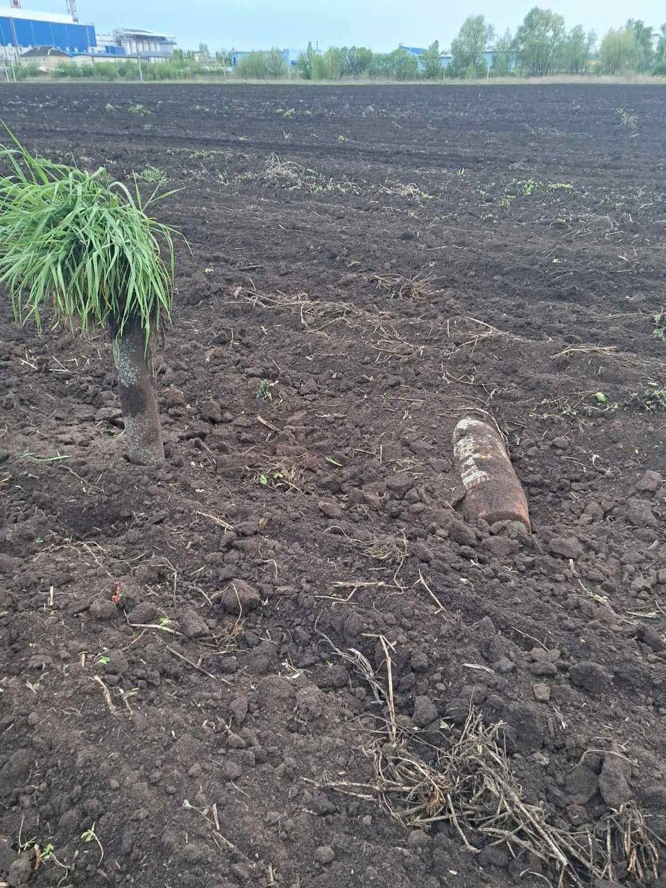В Киевской области в поле нашли боевую часть ракеты. Подробности и фото