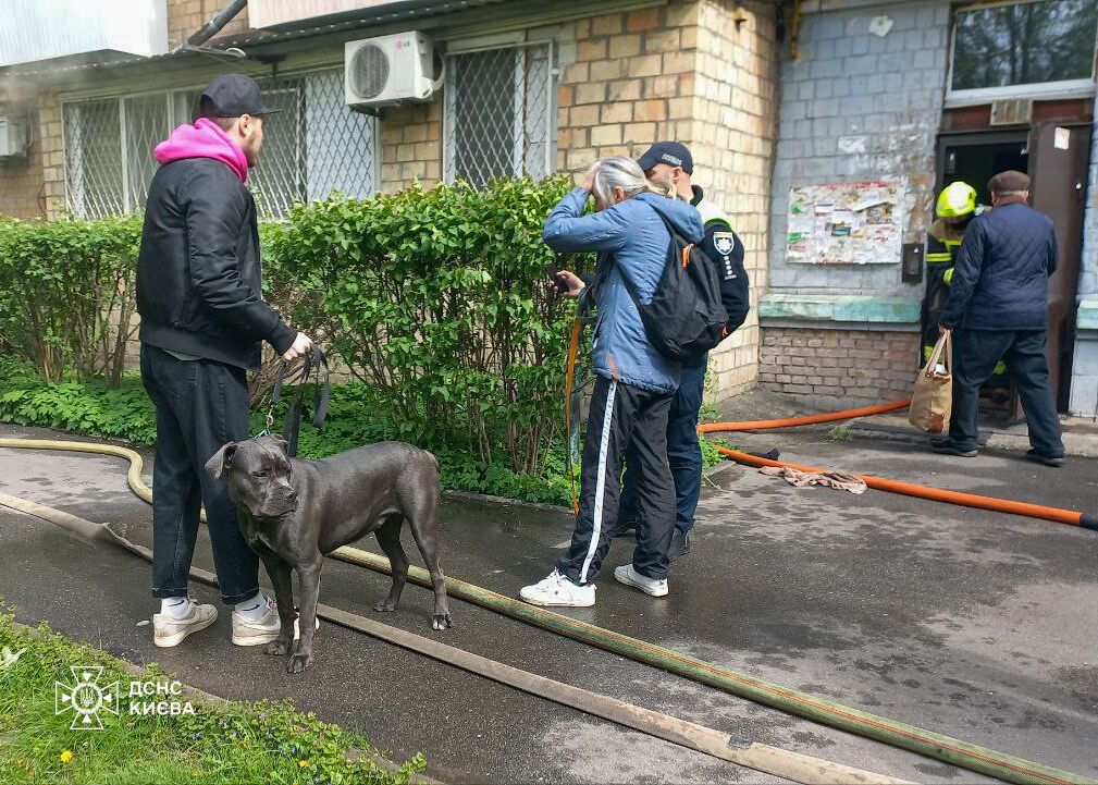У Києві під час пожежі в квартирі загинуло 6 тварин. Подробиці та відео