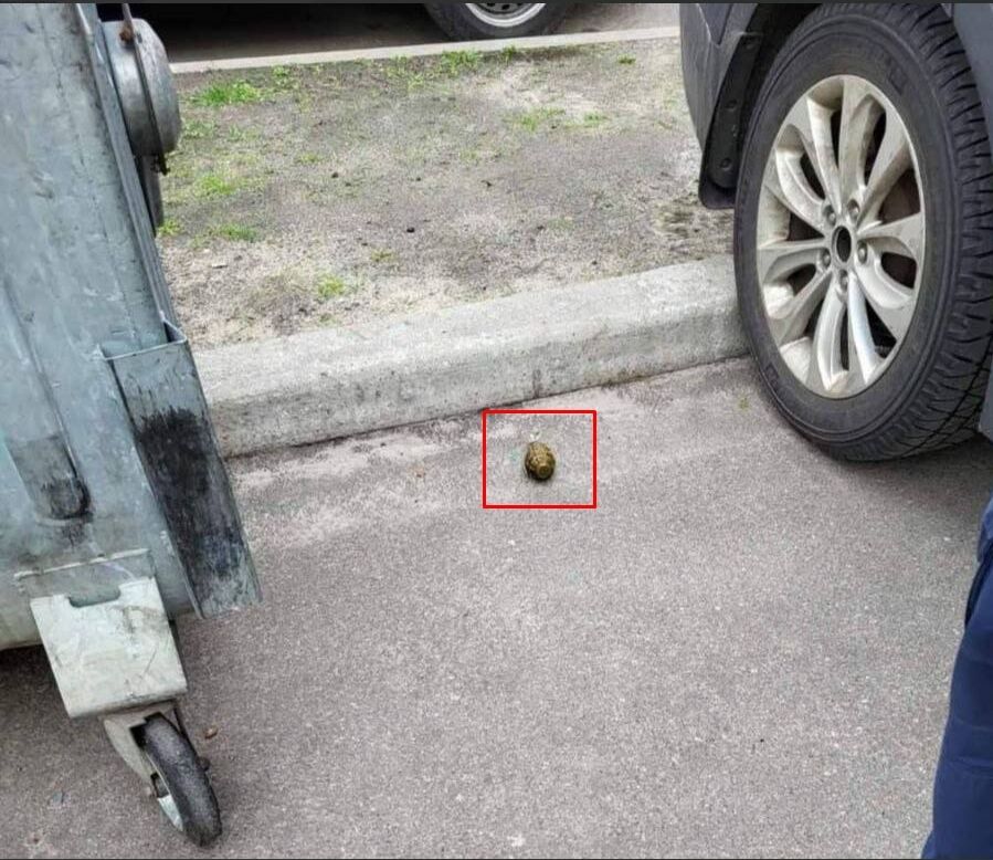 У Києві на Троєщині у дворі будинку знайшли гранату. Подробиці і фото queiqxeihuidrdant