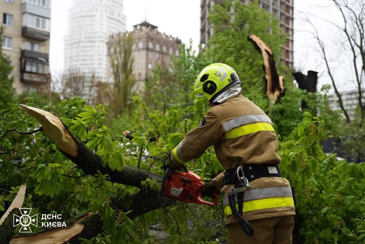 В Киеве из-за непогоды дерево упало на авто, также подтопило дорогу. Фото и подробности