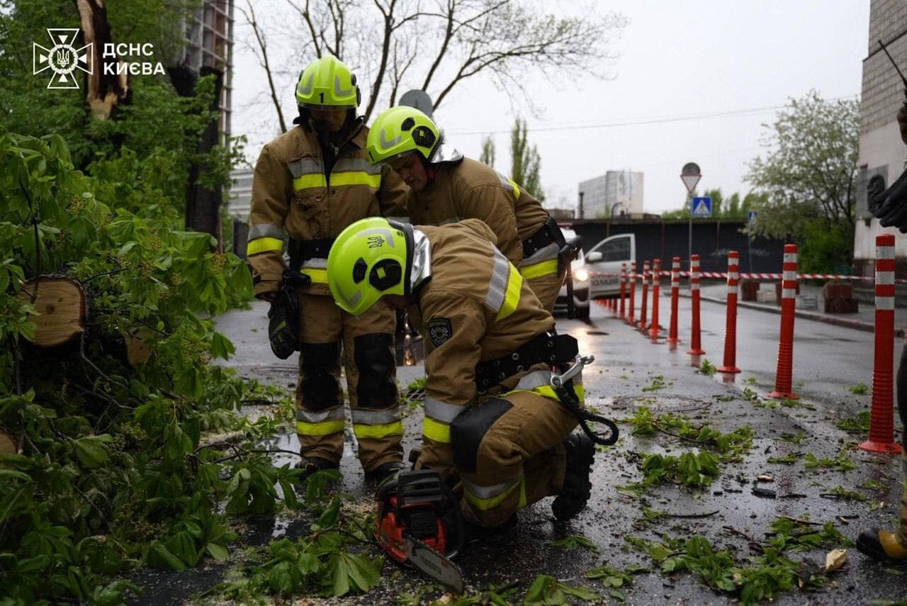 В Киеве из-за непогоды дерево упало на авто, также подтопило дорогу. Фото и подробности