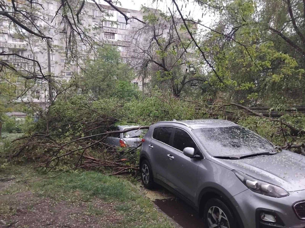 В Одесі буревій викорчовував дерева та трощив авто. Фото та відео негоди