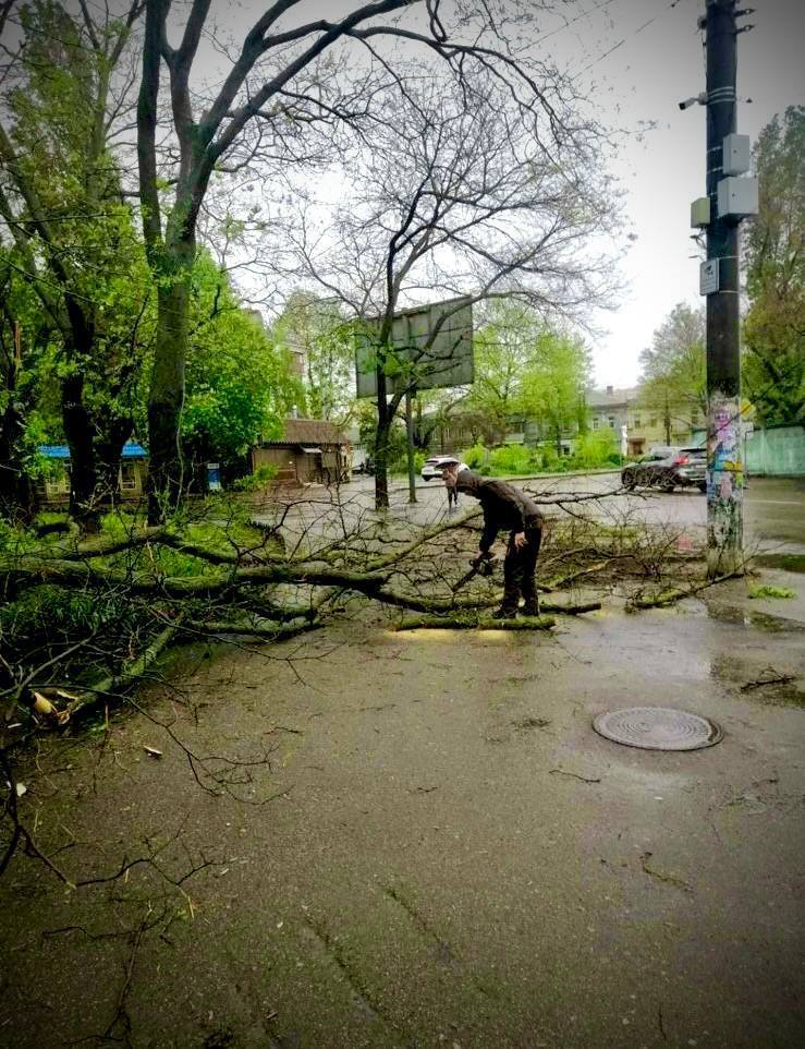 В Одессе ураган вырывал деревья и крушил авто. Фото и видео непогоды