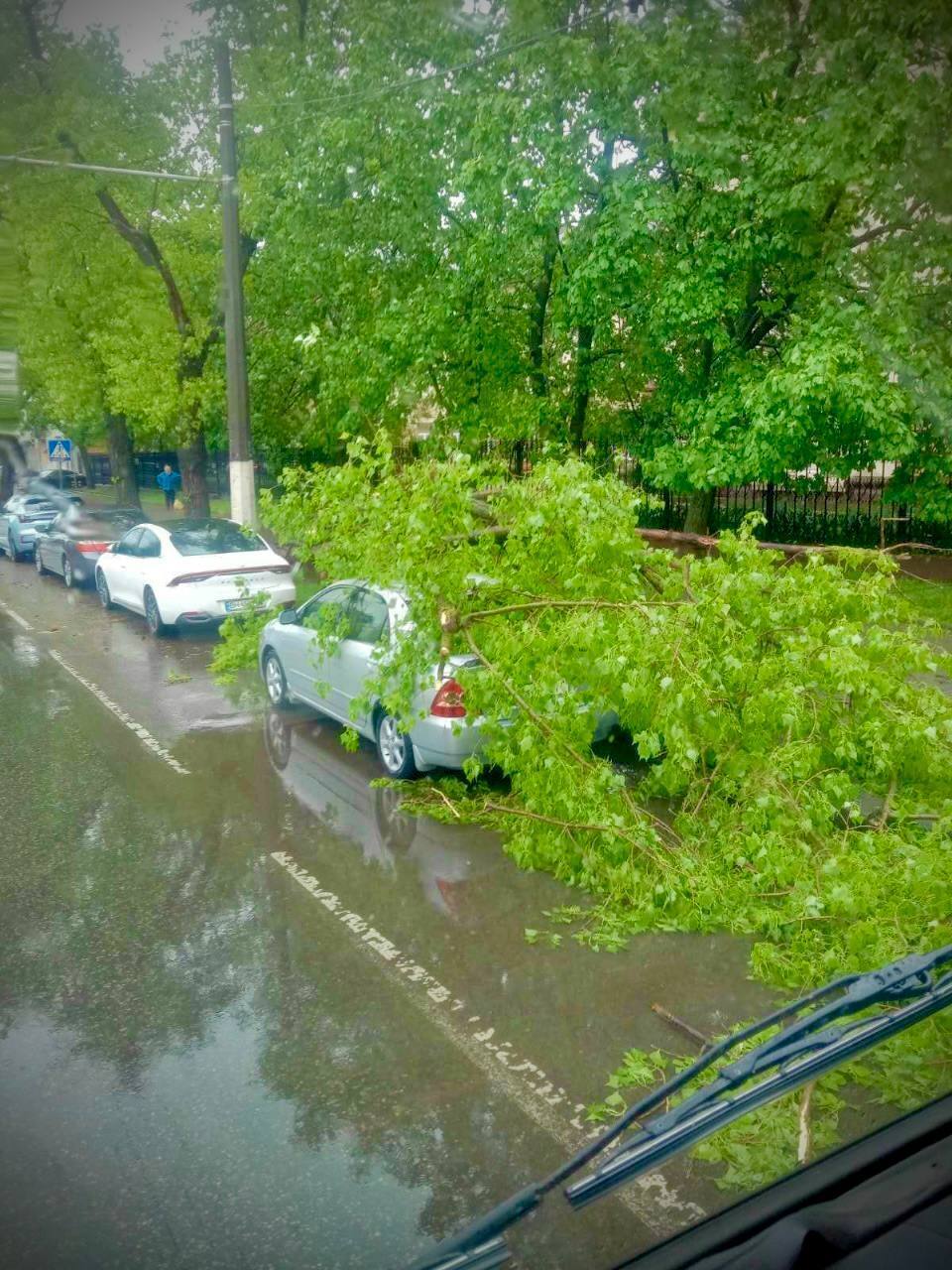 В Одесі буревій викорчовував дерева та трощив авто. Фото та відео негоди