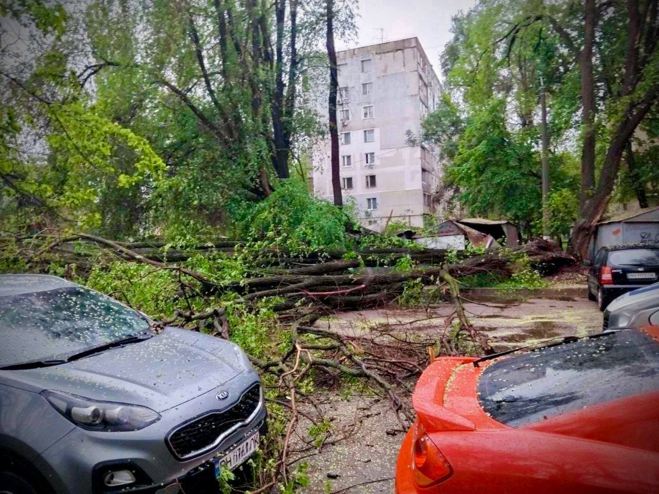 В Одессе ураган вырывал деревья и крушил авто. Фото и видео непогоды