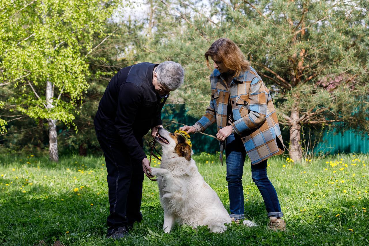 Любит заботу и, конечно, вкусно поесть: Порошенко показал пса Херсона, которого взял из приюта в прошлом году