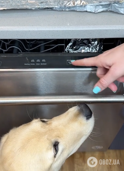 Странно, но вкусно: блоггер поделилась лайфхаком по приготовлению лосося в посудомоечной машине
