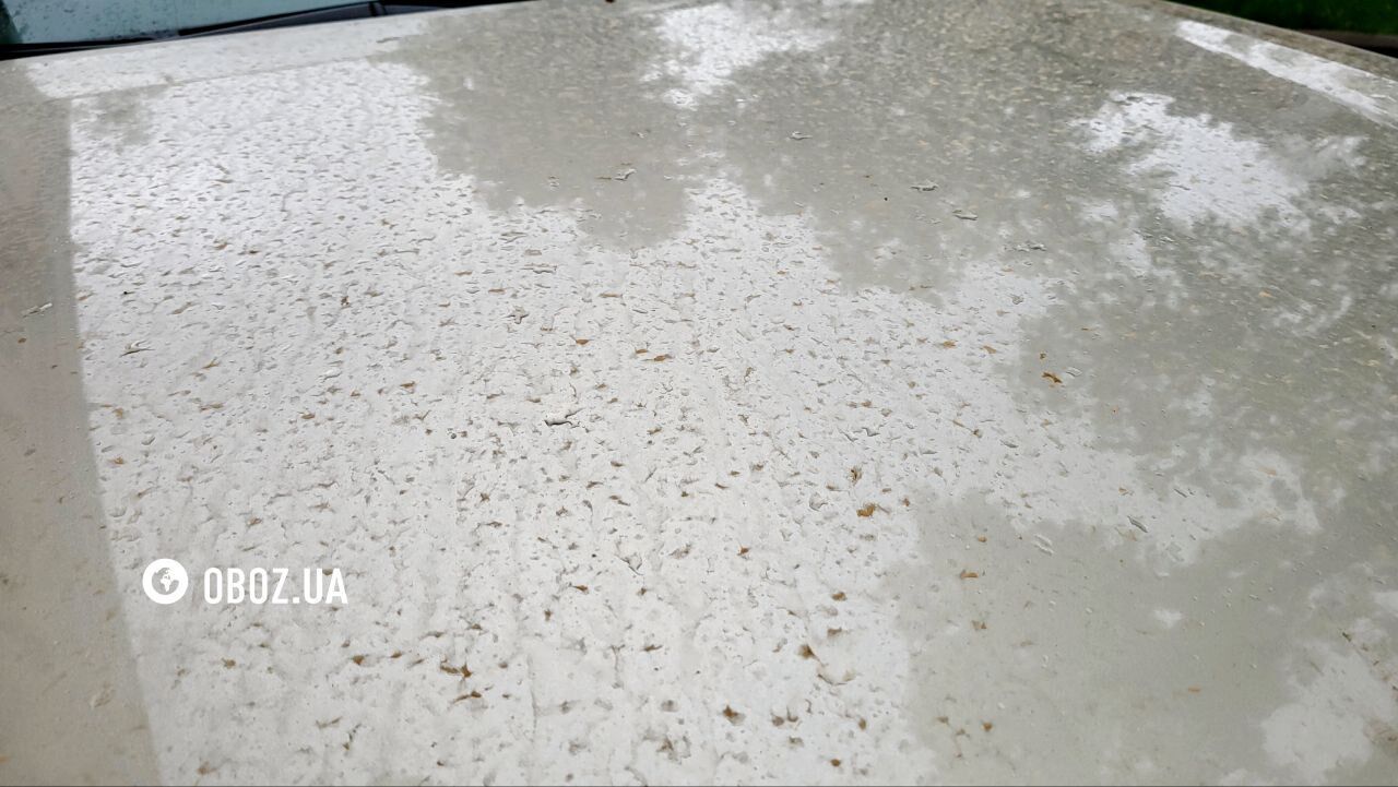 В Киеве дождь с пылью из пустыни Сахара "раскрасил" машины. Фото