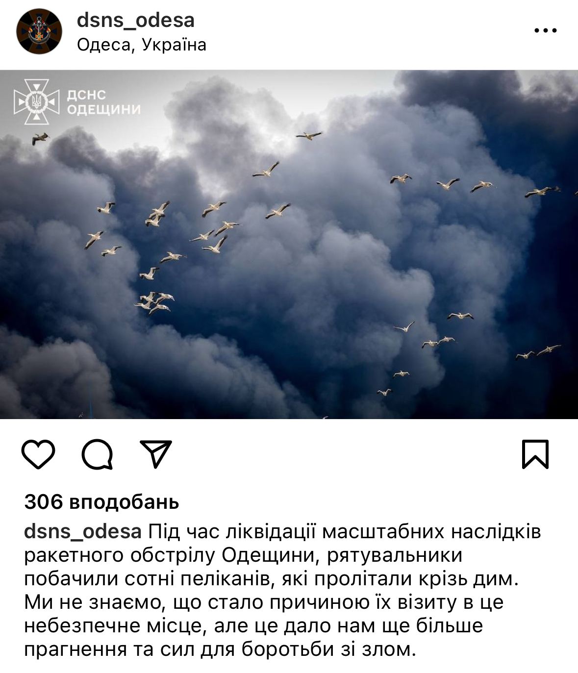 Природа також потерпає від війни. Фото пеліканів, які летять крізь дим від ракетного обстрілу Одещини, розчулило мережу