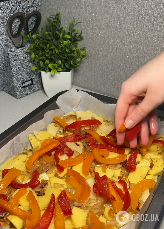 Що приготувати з картоплі замість пюре: варіант дуже простої та ситної страви